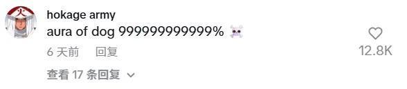 欧陆平台注册：河北狗王“长毛”在外网爆火，其主人回应