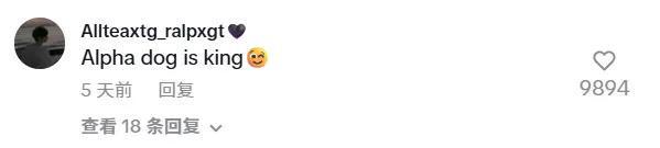 欧陆平台注册：河北狗王“长毛”在外网爆火，其主人回应